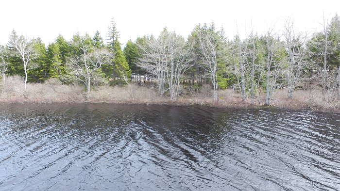 WentworthHalbinsel (90)